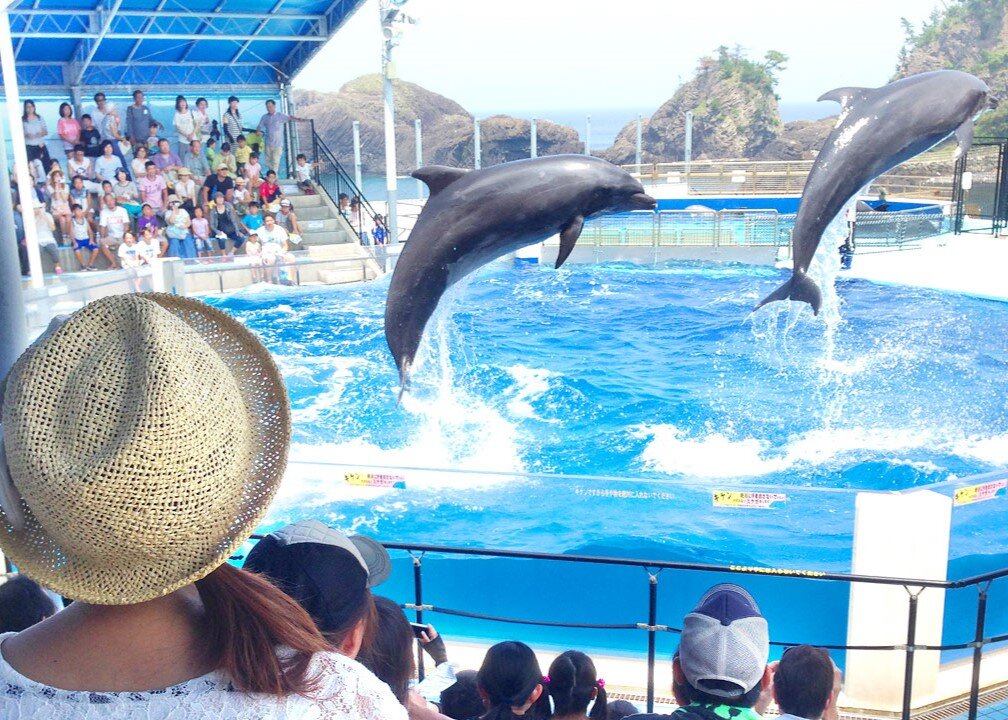 13越前松島水族館.jpg